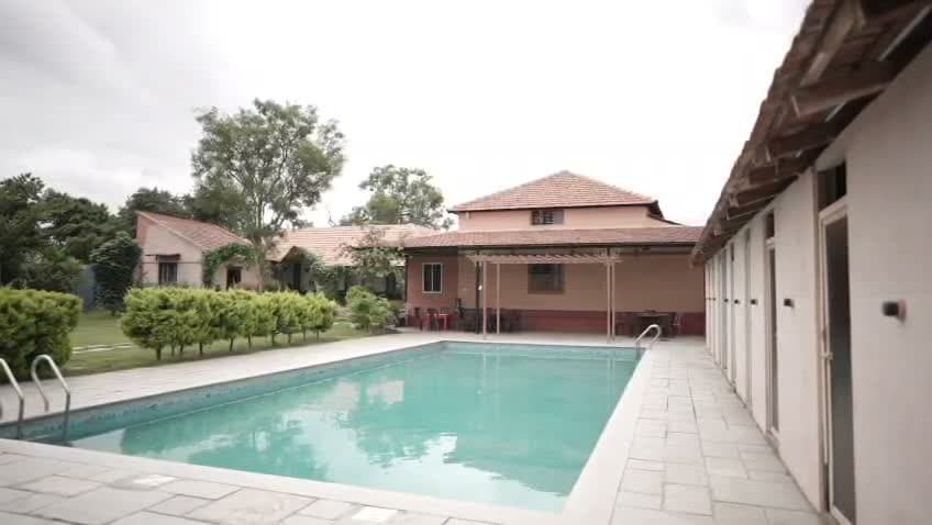 Sparkling blue waters of resort swimming pool framed by cottages and cypress hedges